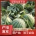正品保障西瓜营养多汁
