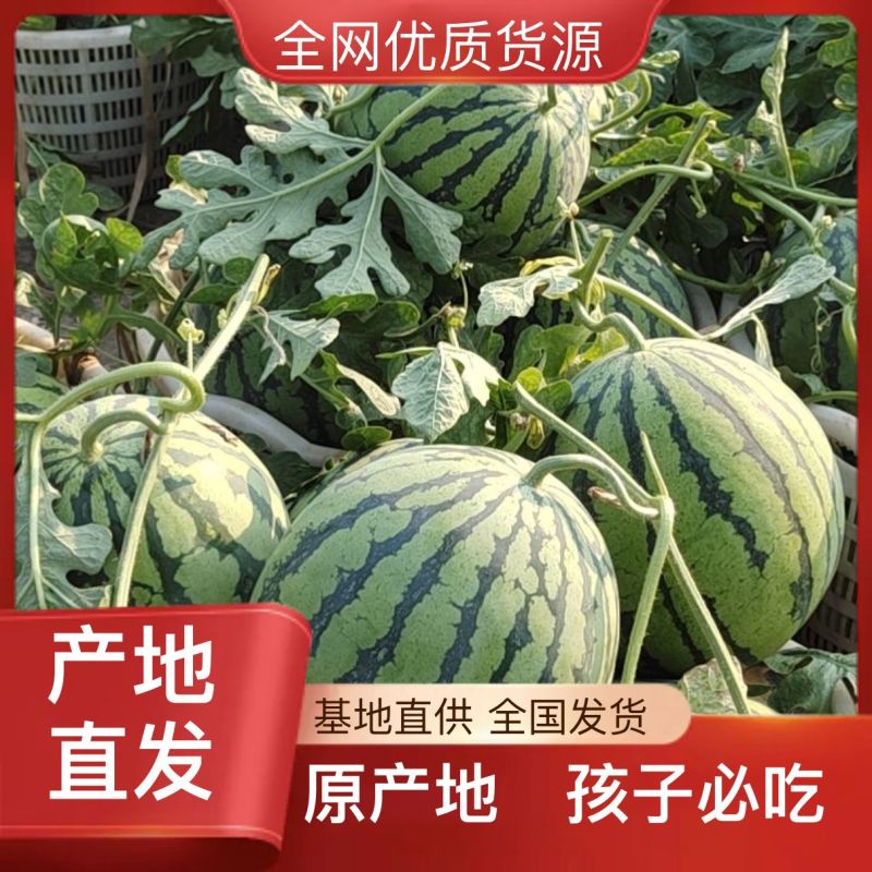 正品保障西瓜营养多汁