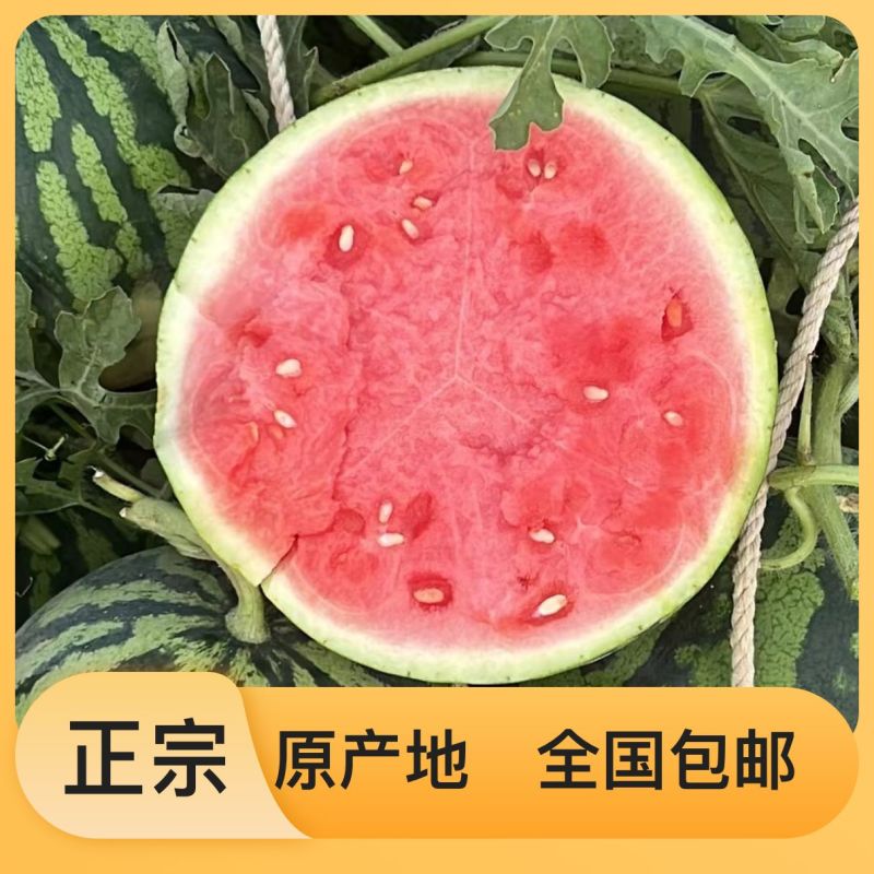 正品保障西瓜量大优惠