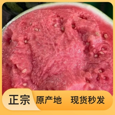 西瓜甜度高品质好孩子必吃