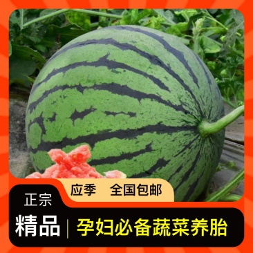 保质保量西瓜长期供应