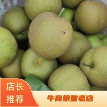 江苏翠冠梨百亩种植基地品质保证货源充足欢迎随时联系