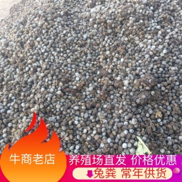鲜兔粪养殖场直发品质保证价格优惠货源充足欢迎来电