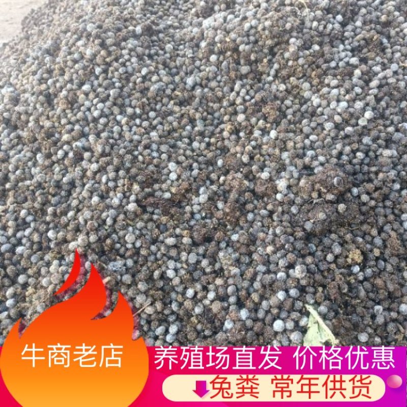 鲜兔粪养殖场直发品质保证价格优惠货源充足欢迎来电