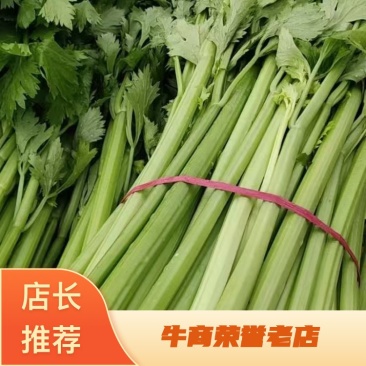 河北精品西芹，一手货源，可视频看货，欢迎咨询