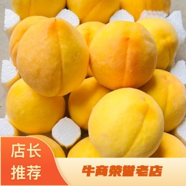 浙江精品锦绣黄桃，一手货源，量大价优，对接电商商超