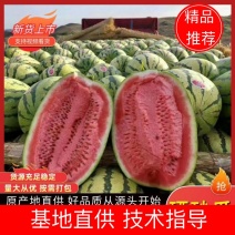 【精选】精品硒砂瓜视频看货代发全国包熟包甜量大从优