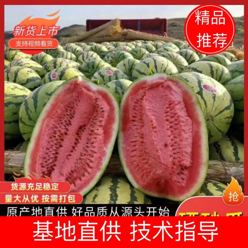 【精选】精品硒砂瓜视频看货代发全国包熟包甜量大从优