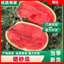 【实力商家】金城五号精品硒砂瓜甜度高水分足包熟包甜量大