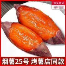 【源头直采】河北唐山烟薯25蜜薯现货现发量大价优