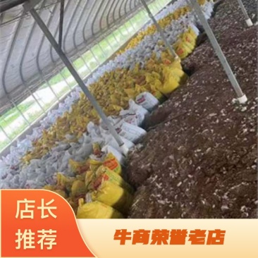 浙江稻壳鸡粪，一手货源，纯发酵好，质量保证欢迎选购
