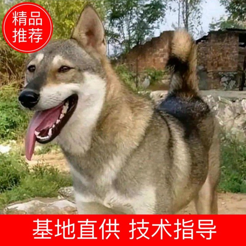 【推荐】规格齐全可混批品质保证欢迎来电