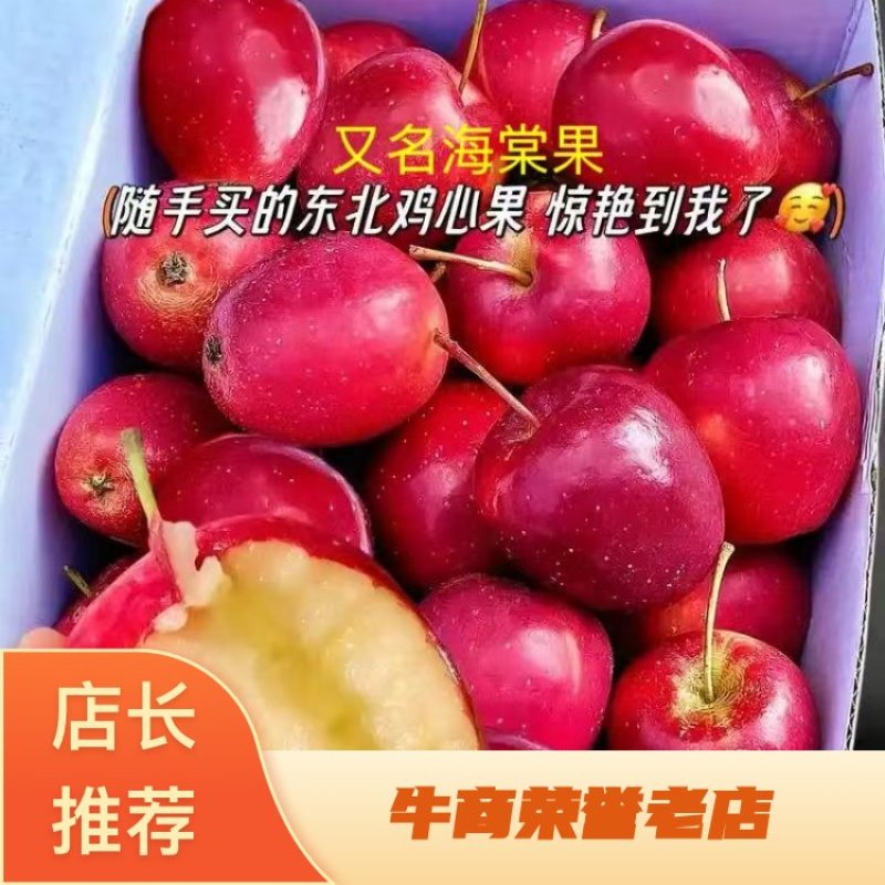 辽宁精品苹果，鸡心果海棠果，一手货源产地直发量大价优