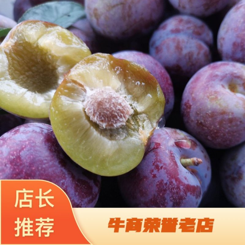 【热卖】四川脆红李小红脆大量上一件代发产地直发