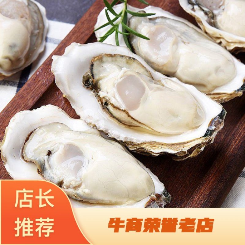 乳山生蚝，海洋所西黄岛牡蛎养殖区出品