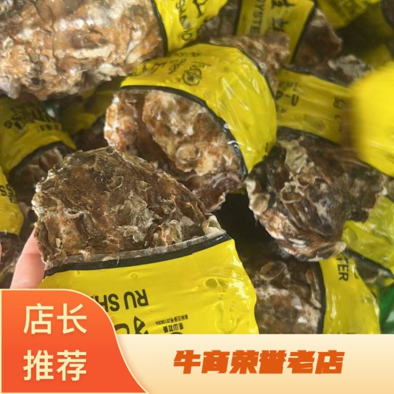 乳山生蚝，海洋所西黄岛牡蛎养殖区出品