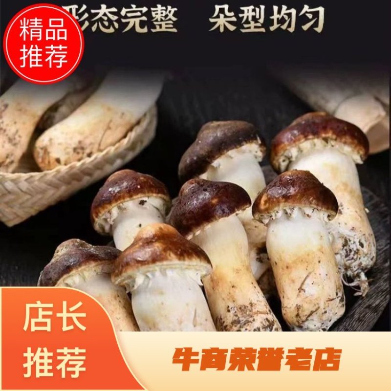 河北赤松茸，实力精选.，品质保证，价格优惠，产地直发