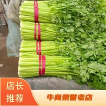 (精品芹菜)一手货产地直发，品质保证加工厂食堂