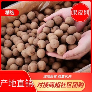 莆田桂圆干皮薄肉厚核小产地直供品质好一手货源欢迎来电详谈