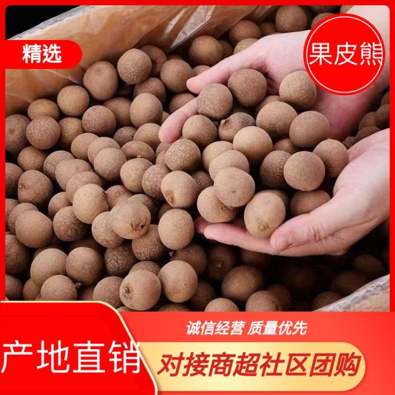 莆田桂圆干皮薄肉厚核小产地直供品质好一手货源欢迎来电详谈