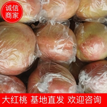 【大红桃】山西超越大红桃基地直供量大从优欢迎来电咨询