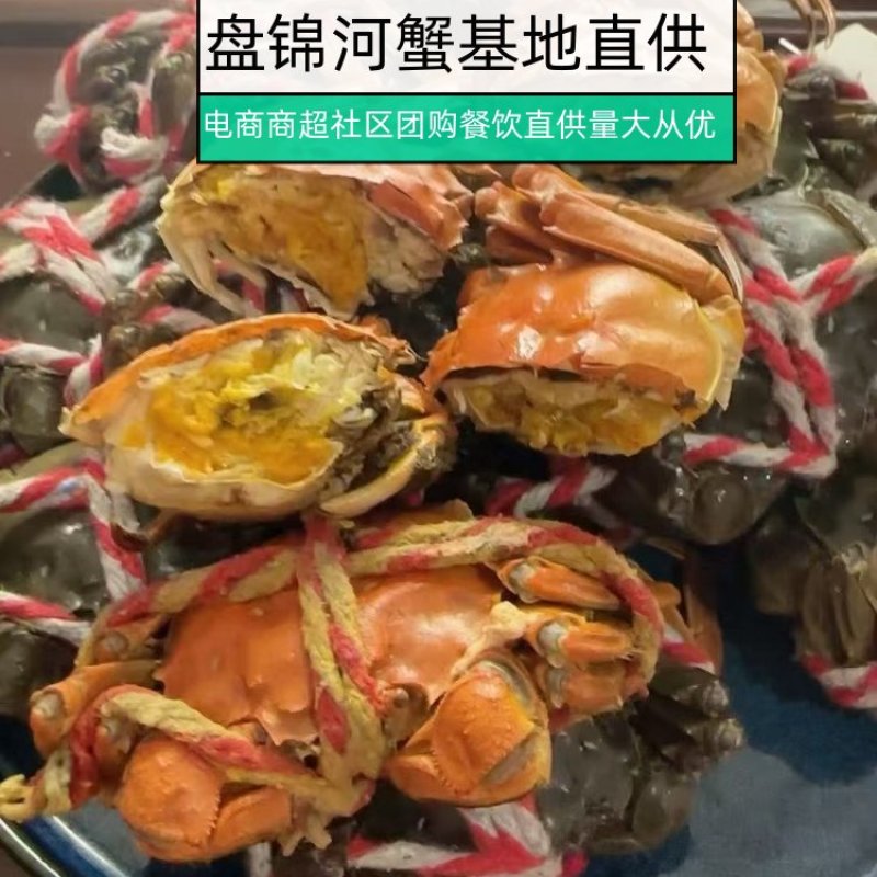 盘锦河蟹六月黄保肥批发档口