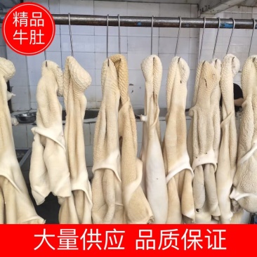 牛肚熟牛肚大量供应品质保证供应全国市场电商商超