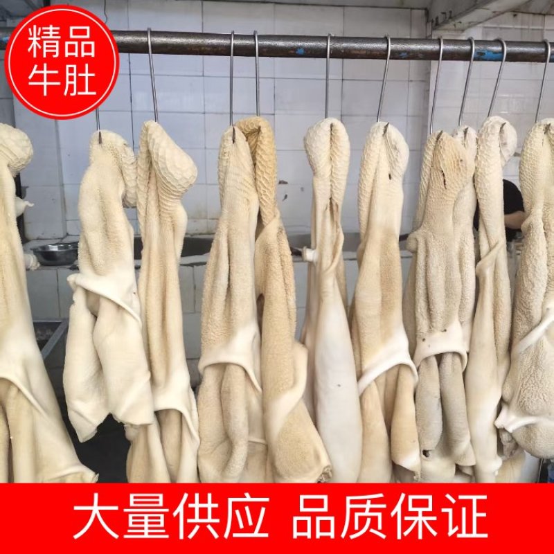 牛肚熟牛肚大量供应品质保证供应全国市场电商商超