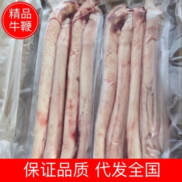 牛鞭精品牛鞭大量供应品质保证代发全国市场欢迎咨询