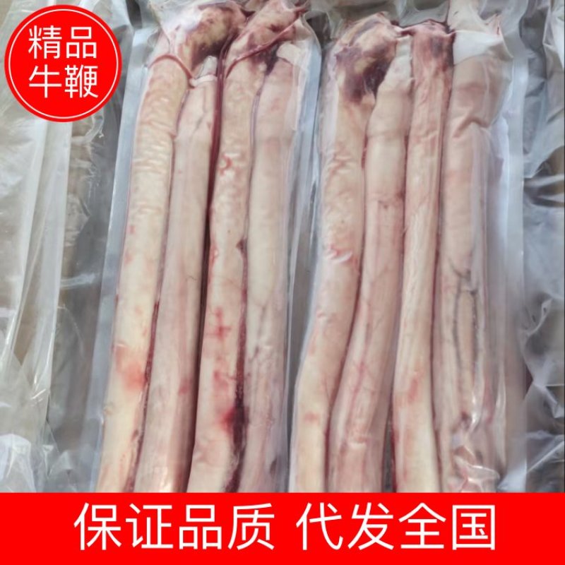 牛鞭精品牛鞭大量供应品质保证代发全国市场欢迎咨询