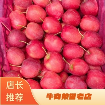 【热卖】海棠果，辽宁鸡心果产地直销，量大从优，可视频看货
