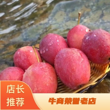 鸡心果，海棠果，产地直销，一手货源，即将上市。多多益善