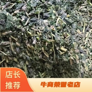 河南精品速冻蒲公英，品质精品，量大价优新鲜采摘加工速冻