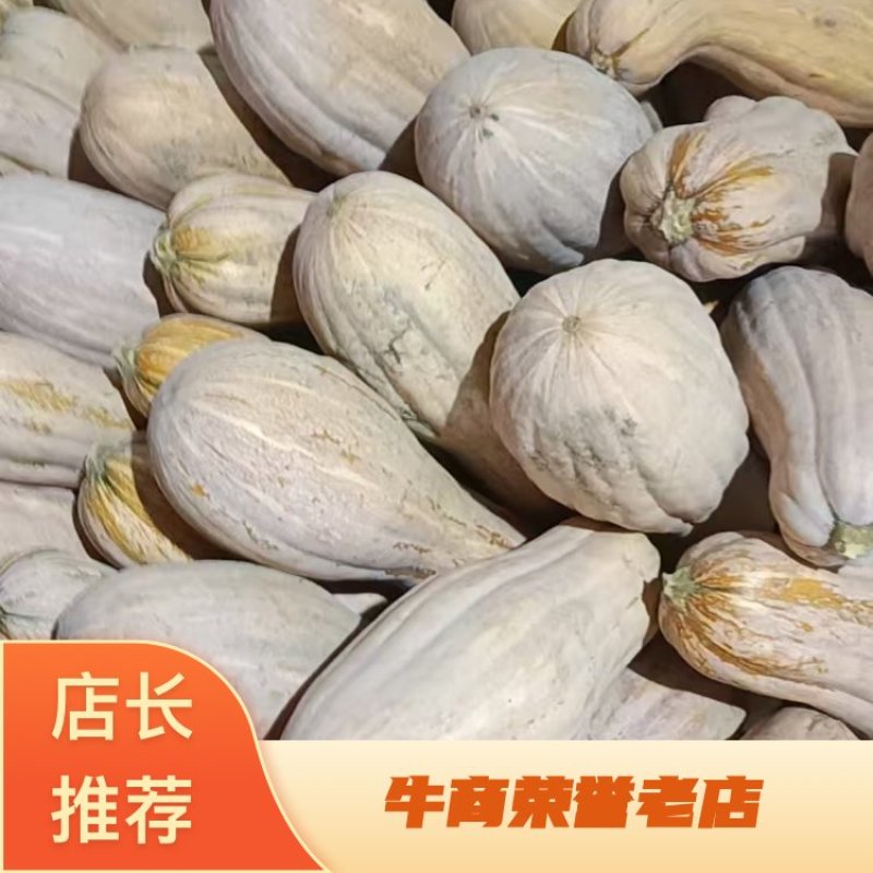 江苏精品南瓜/蜜本南瓜/量大价优/质量上乘/欢迎咨询