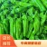 高山芜湖椒无公害。无污染。，欢迎新老客户视频选购
