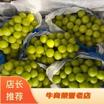 【热卖】精品阳光玫瑰，渭南阳光玫瑰，质量好，糖度高