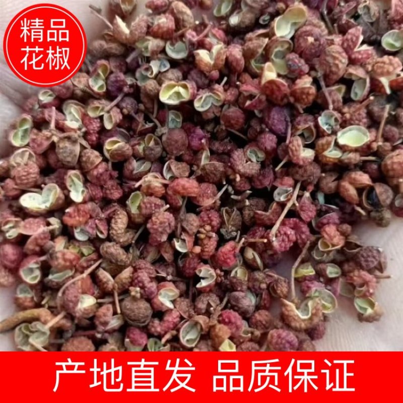 大红袍花椒山东花椒基地直发量大从优欢迎咨询