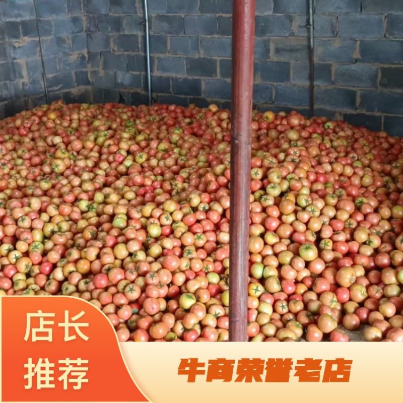 内蒙古精品硬粉西红柿果型好硬度好品质保证对接超市平台