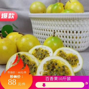 黄金百香果钦蜜九号纯甜平台电商市场代发供货日供五万斤