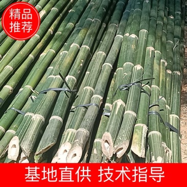 排山竹，外墙搭架建筑工程搭排山。品质优