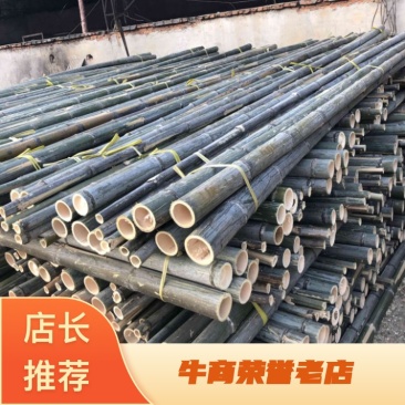 竹尾2至5米规格齐全产地货源品质好