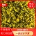 纯手工雪菜，精制雪菜，品质保证，价格优惠