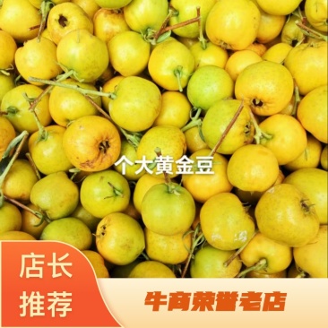 新鲜山楂果，山东黄金豆山楂品质保证酸甜可口欢迎联系