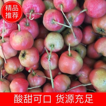 山东绵球山楂产地直销，质量保证货源充足全国发货欢迎咨询