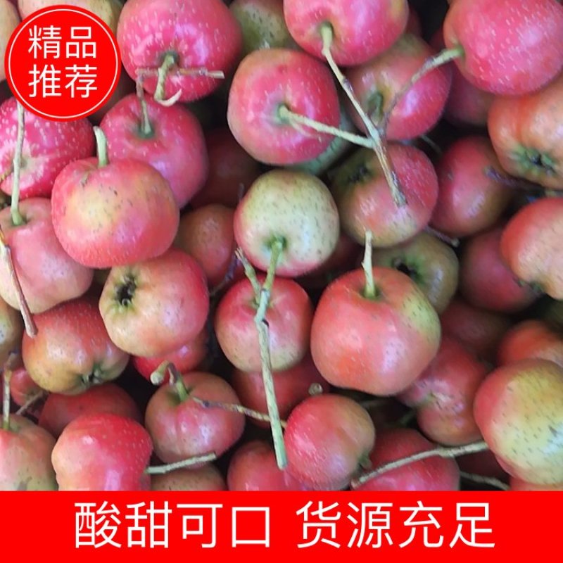 山东绵球山楂产地直销，质量保证货源充足全国发货欢迎咨询