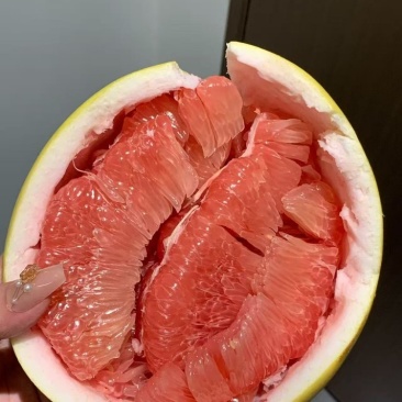 广东柚子三红柚量大质优价格优惠有需要的老板欢迎咨询