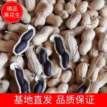 【花生】精品黑花生色选果基地直发量大从优欢迎咨询