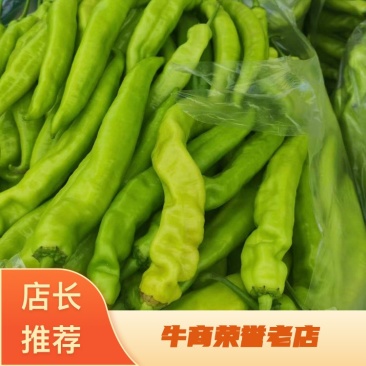 【尖椒】河南滑县黄皮尖椒大量上市中，质量好，货源充足