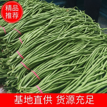 精品青条长豆角，质量好无虫眼，货源充足，欢迎各地老板下单