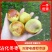 精品冬枣大量上市中欢迎各位老板前来选购价格优美！